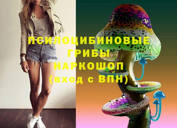 шишки Беломорск