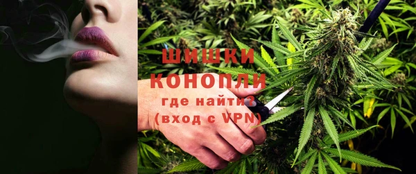шишки Беломорск