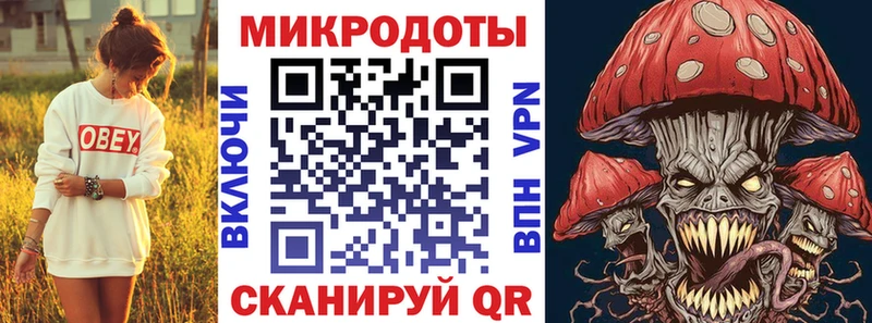 Галлюциногенные грибы Psilocybe  Свирск 